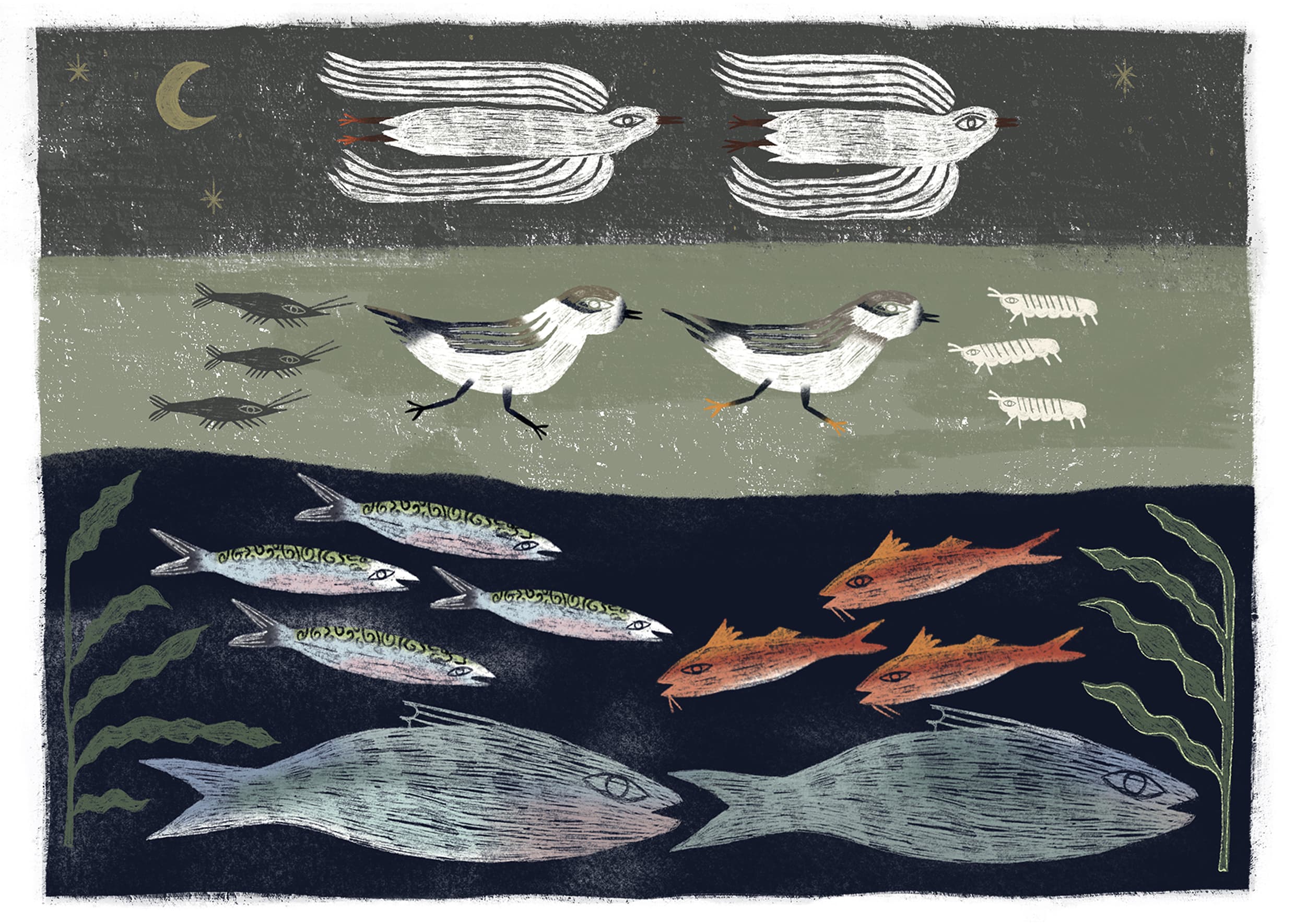 Œuvre Promenade à Quinéville par Bérénice Duchemin